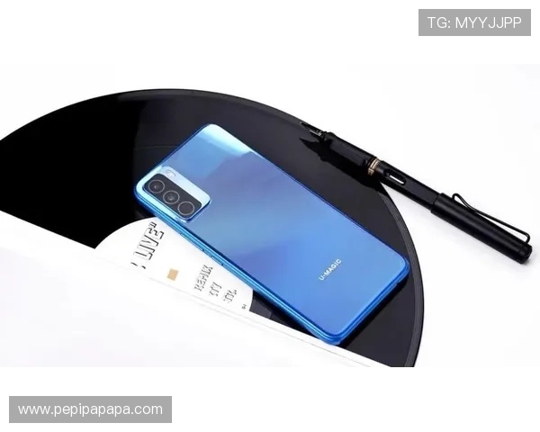 PA旗舰登录入口官方平台，帮助用户轻松访问全部功能与服务确保登录安全稳定，畅享优质使用体验